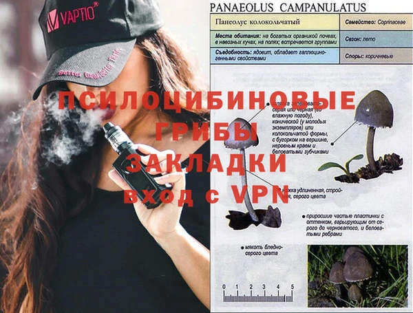 кокс Алзамай