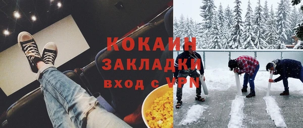 мет Алексин