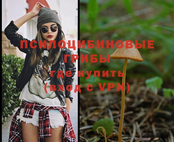кокс Алзамай