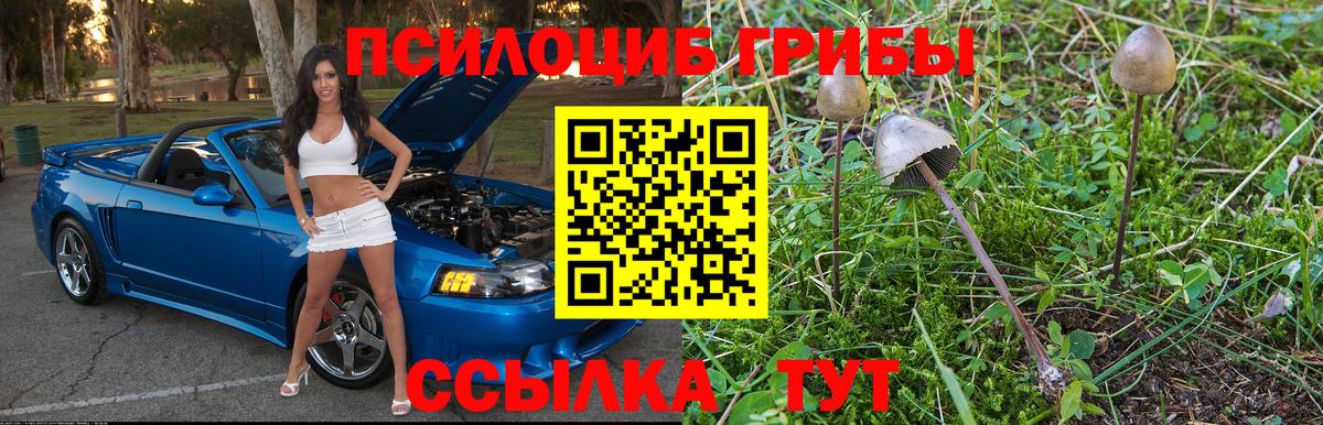 Южно-Сахалинск  Галлюциногенные грибы Magic Shrooms  Псилоцибиновые грибы ЛСД  Вход с VPN 