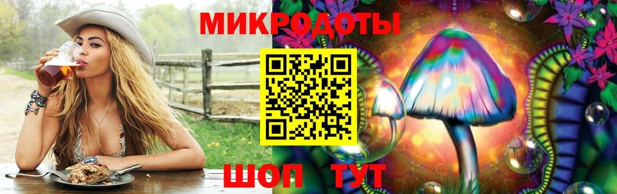 Галлюциногенные грибы мухоморы Южно-Сахалинск